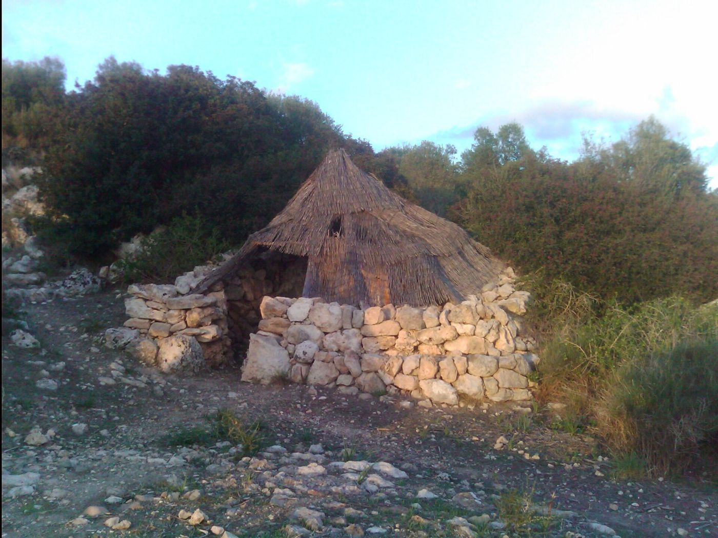 Barraca de roter — Barraca de roter al Puig de la Morisca (Calvià) 2013-09-29 09-51-31