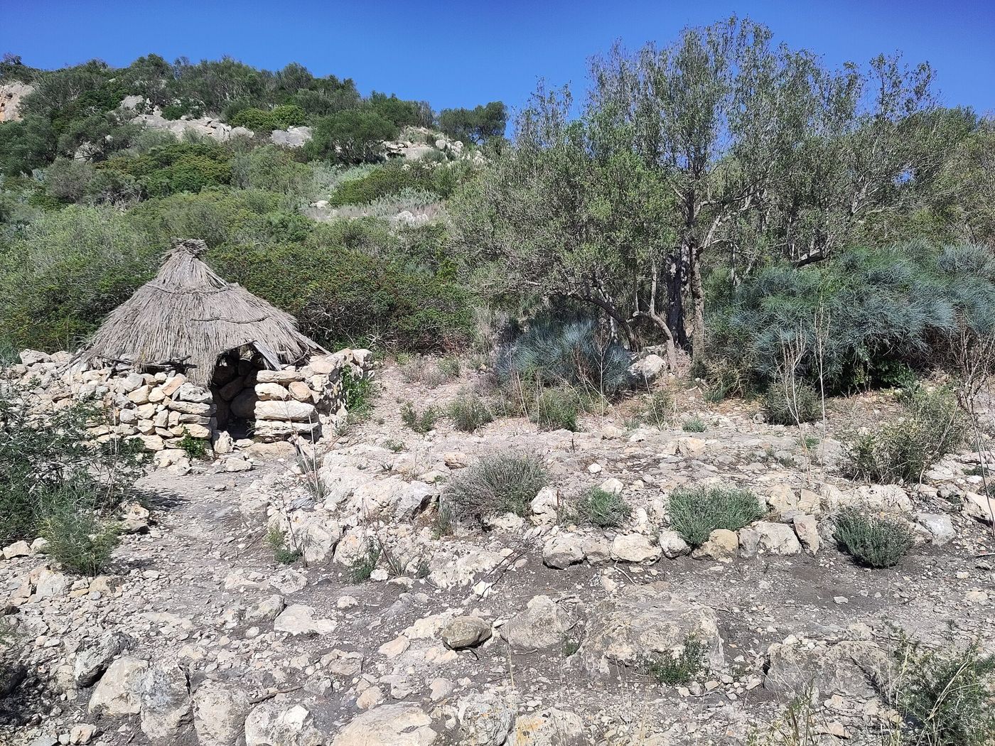 Sitja de carboner — Calvià. Puig de la Morisca. Rotlo de carboners