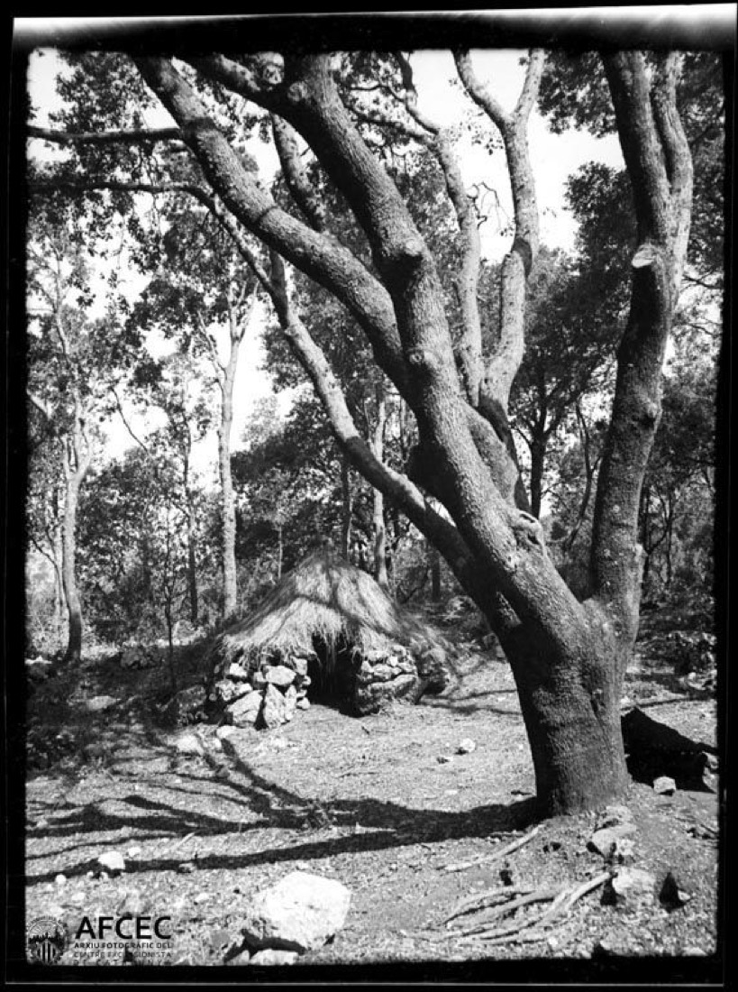 Barraca de carboners enmig d'un bosc camí del Puig Major