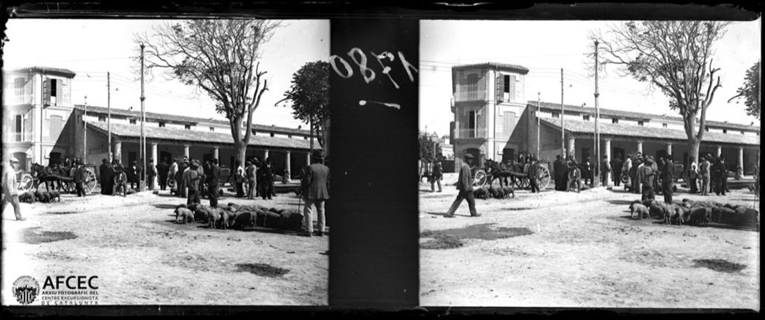 Mercat de porcs en una plaça de Portopí