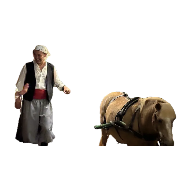 FestaCarro 2.jpg